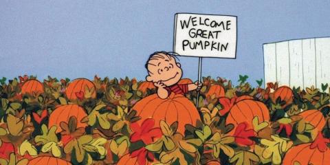 pumpkin charlie brown